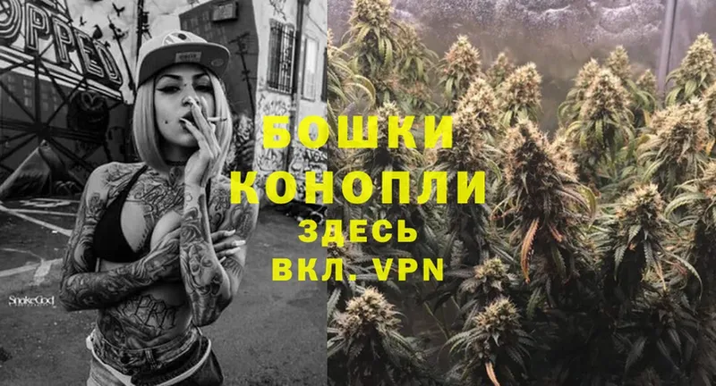 закладка  Лермонтов  Бошки Шишки THC 21% 